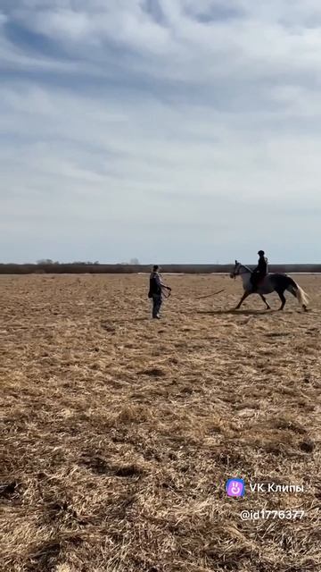 Грация и воля