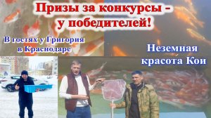 В гостях у подписчика. Призы за конкурсы. Царство Кои.