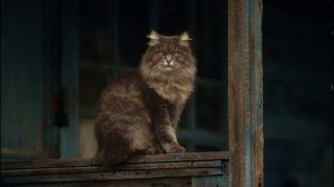 Стихи. Дом. Ростислав Векленко.