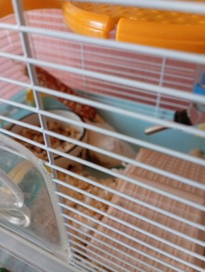 флафи слаймик