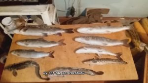 Зимняя рыбалка на ТЫНДЕ!!!!!!