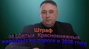Штраф за сбитых на дороге животных из Красной книги в 2026 году