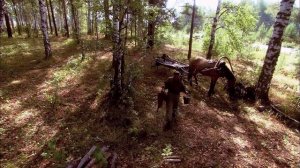 «Горький мед», 2013, документальный фильм