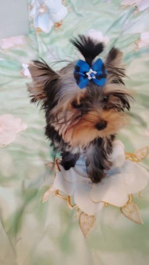 YouCut_20260319_172104718