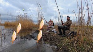 КРАСНОПЁРКИ ТЬМА! С ЖЕНОЙ ЛОВИМ НА ПОПЛАВОК. ХАПНУЛА ЩУКА! Идеальная рыбалка в Астрахани.