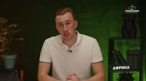 Фильмы для погружения в культуру Испании и Латинской Америки