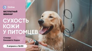 Бесплатный вебинар «Сухость кожи у питомцев: причины и профилактика»