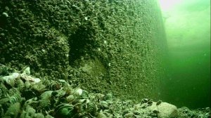 1000013843.mp4Волга гл.5м.03.04.2026г.