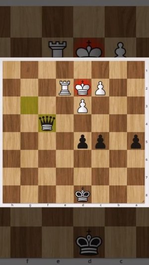 У белых 2 крепкие ладьи, однако чёрные красиво выигрывают