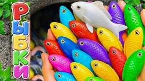 Мультики для детей и малышей про речных обитателей. Ловим и рассматриваем ярких новых рыбок