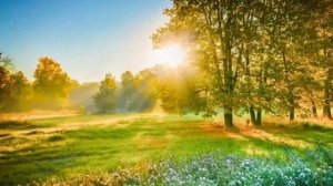 Не слышен крыльев взмах.