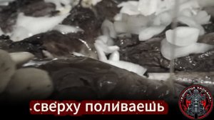 Дичь 2