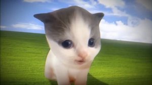 вилли против собаки вирус