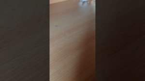 1 часть камера с ума сходит