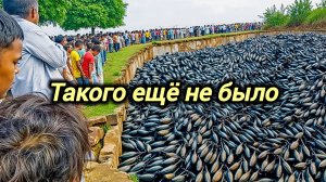 03-04-2026. ЧП. КАТАКЛИЗМЫ. КАТАСТРОФЫ, ПРОИСШЕСТВИЯ ЗА ДЕНЬ. новости дня. СЕГОДНЯ