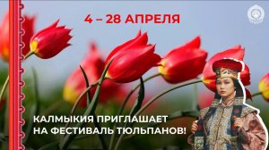 Калмыкия приглашает на Фестиваль тюльпанов!