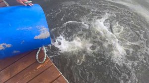 copy_E8658D49-3B94-4522-9C70-D804941FDEC3