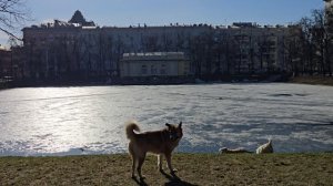 "В преддверии весны" Композитор Королев Леонид. Патриаршие пруды, Москва.