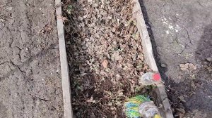 Рассадный 2026 г. Чистим клубничные посадки.