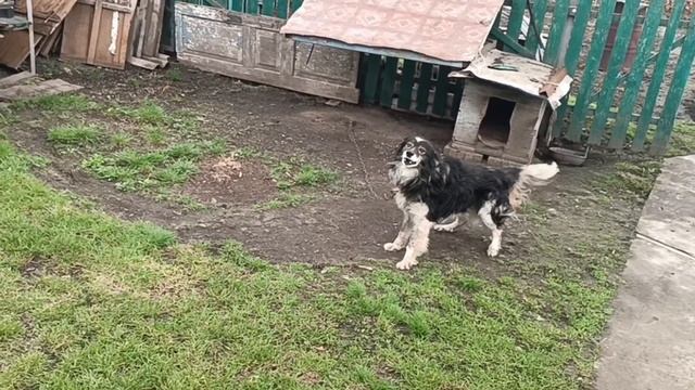 Один день из нашей жизни. 03-04-2026