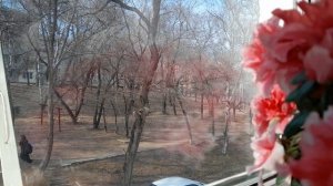 Здравствуйте! А вот и я!