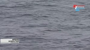 В Волгограде возобновили движение еще по двум речным маршрутам