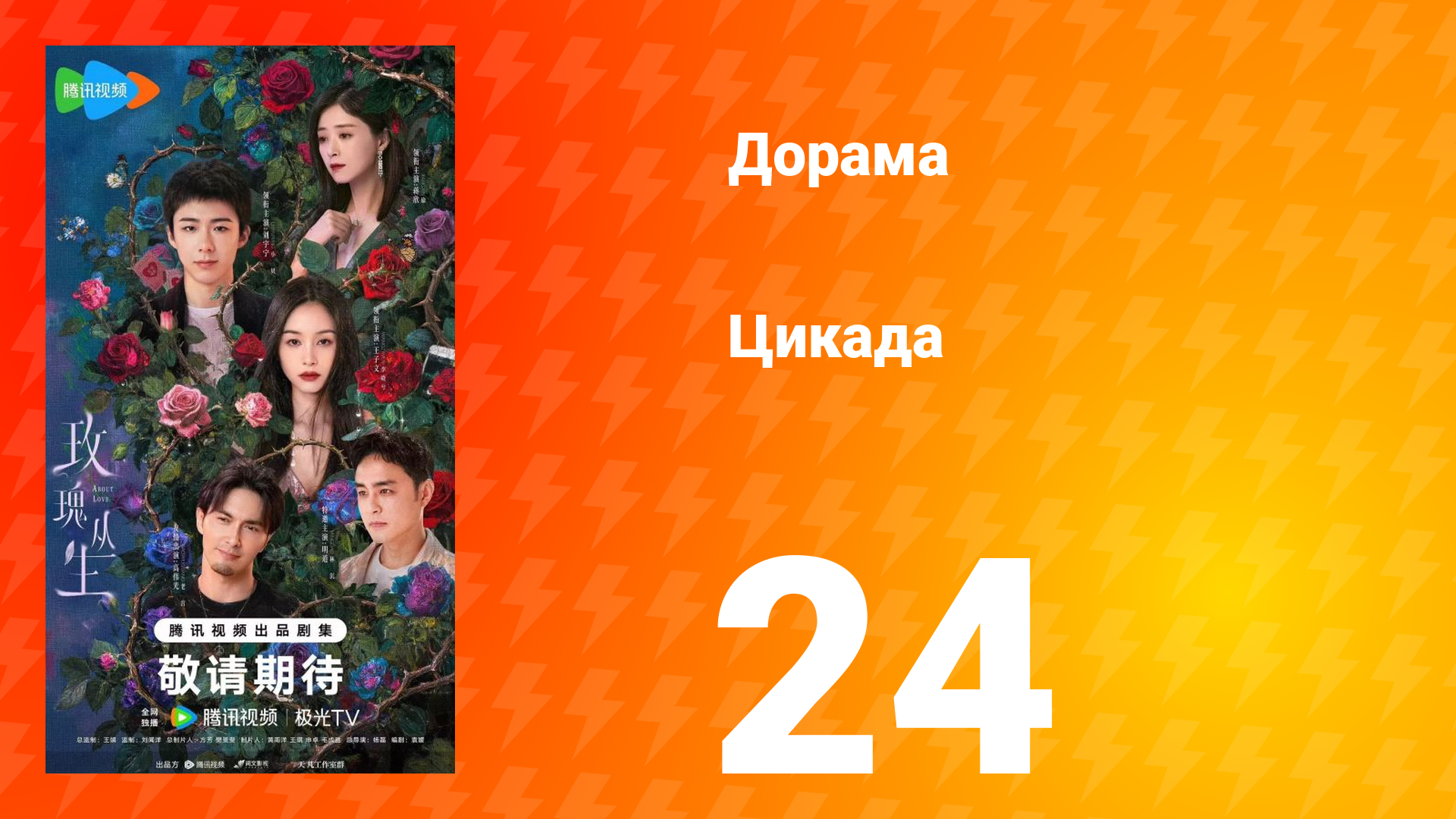 Цикада 24 серия