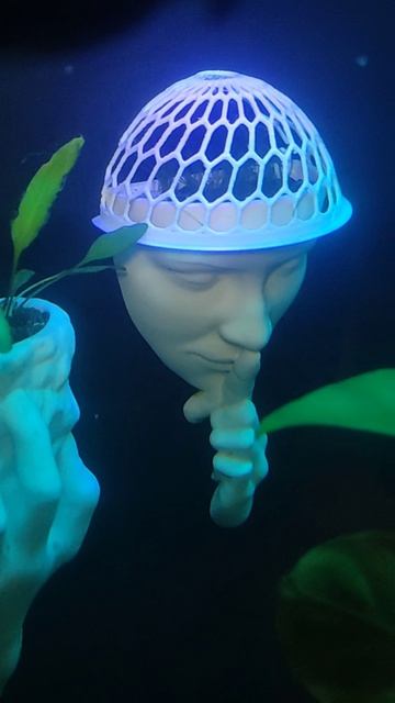 Держатель для мха