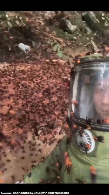 Видео от Выживание