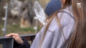 Дети участников СВО продолжают участие в проекте «Академия детства. Зимние каникулы 2.0»