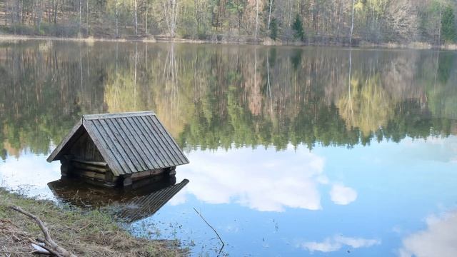 Весна пришла!