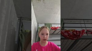 скиталс жевачька