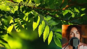 Выжженный след.