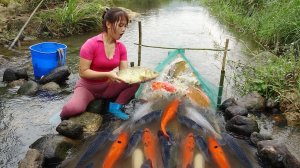 Молодая девушка смастерила интересную ловушку для рыбы на ручье. Жизнь во Вьетнаме