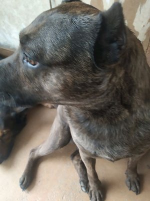 страдаем фигнëй