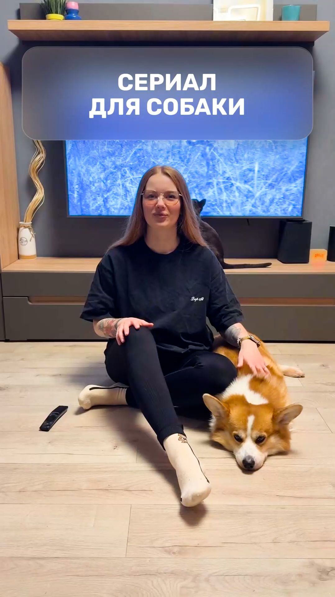 Сериал для собаки