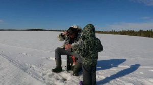 Дождались! Эту рыбу мы хотели половить