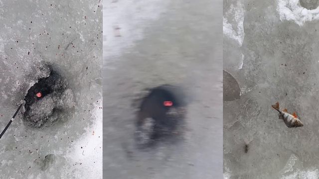 Рыбалка по последнему льду на мормыша 01.04.26 года