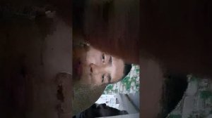 10 дней с длиноногим