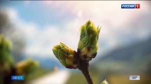 8.07 – Вести утро от 03.04.2026г.