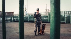 «Тауба», 2015, документальный фильм