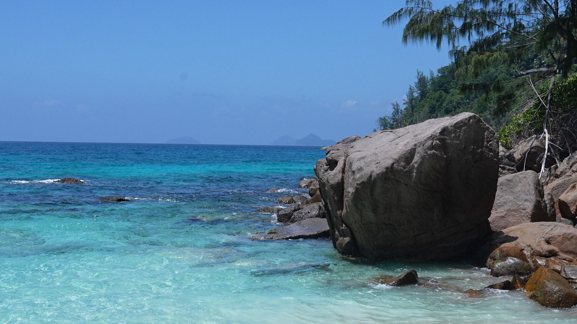 Cейшельские острова. Поездка на пляж Anse Petit (09.02.2026г.)