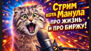 Стрим кота Манула про жизнь и про биржу!