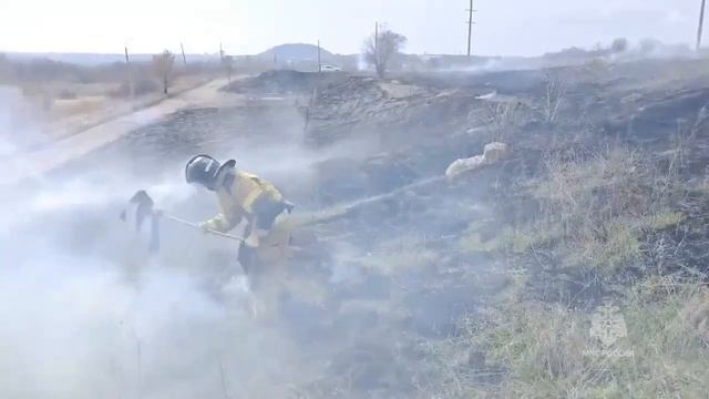 Пожароопасный сезон в разгаре: береги экосистему! смотреть онлайн