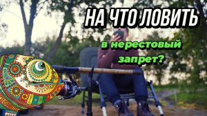 Запрет на спиннинг не беда! Ловим на фидер с новинками сезона