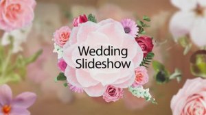 свадебные моменты