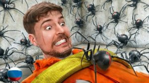 Мистер Бист. Взгляни в лицо своему страху за 800.000$