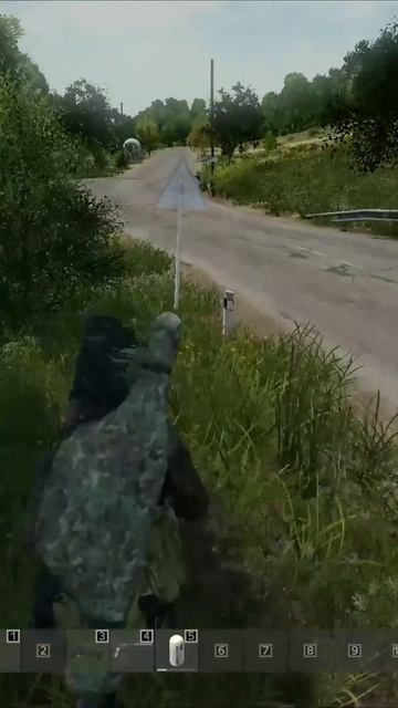 Popytalsya Zareydit' Mashinku Zabrat' #dayz #дейз #ksmn #dayzshorts