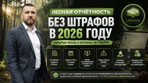 Лесная отчетность без штрафов в 2026 году: скрытые риски