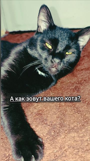 Упражнение Как избавиться от скороталости смотреть